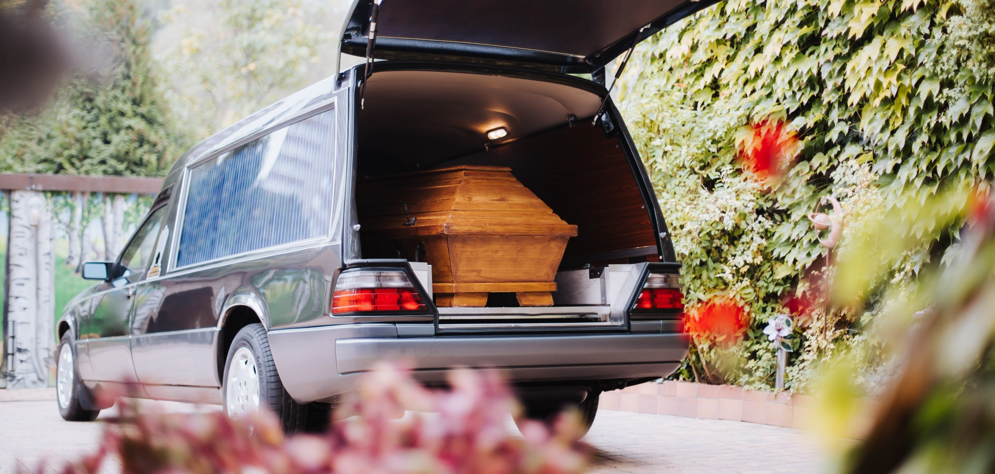 Dorking Funeral Services Funeral Services , Easy Website, Tec-Nut.com Websites, easy website, No Coding Website, New Website, Cremation services, Free Website, Company Website Serving Dorking